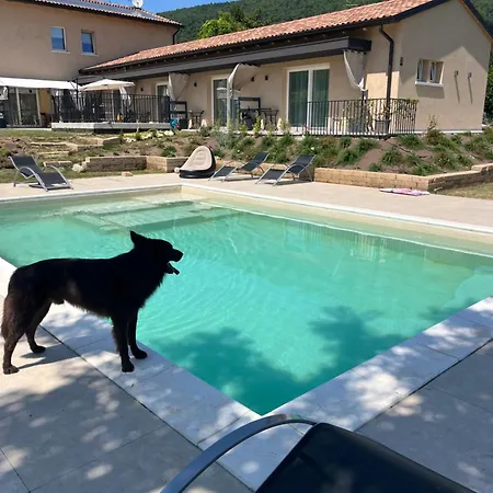 Casa Ulivi Del Garda Homestay