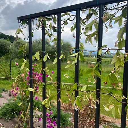 Δωμάτια σε οικογενειακή κατοικία Casa Ulivi Del Garda *